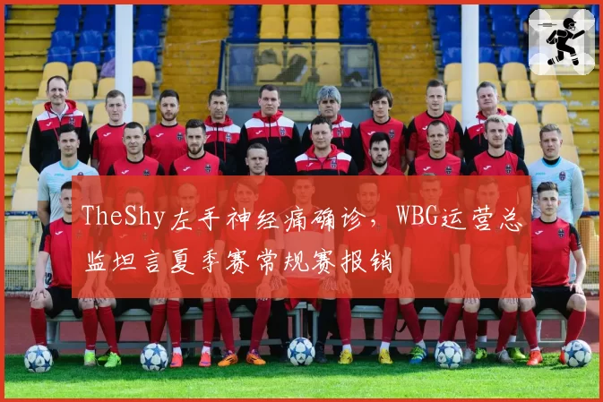 TheShy左手神经痛确诊,WBG运营总监坦言夏季赛常规赛报销