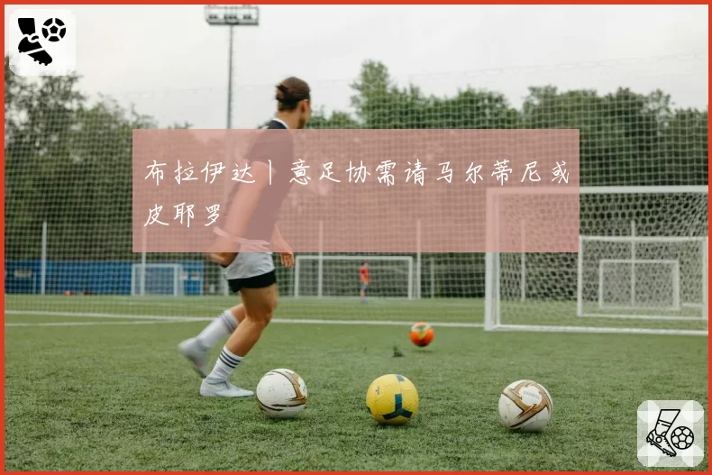 布拉伊达丨意足协需请马尔蒂尼或皮耶罗